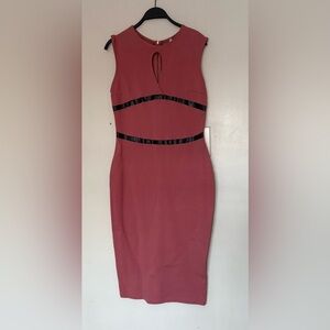 Elegant Pink and Black Women's Dress